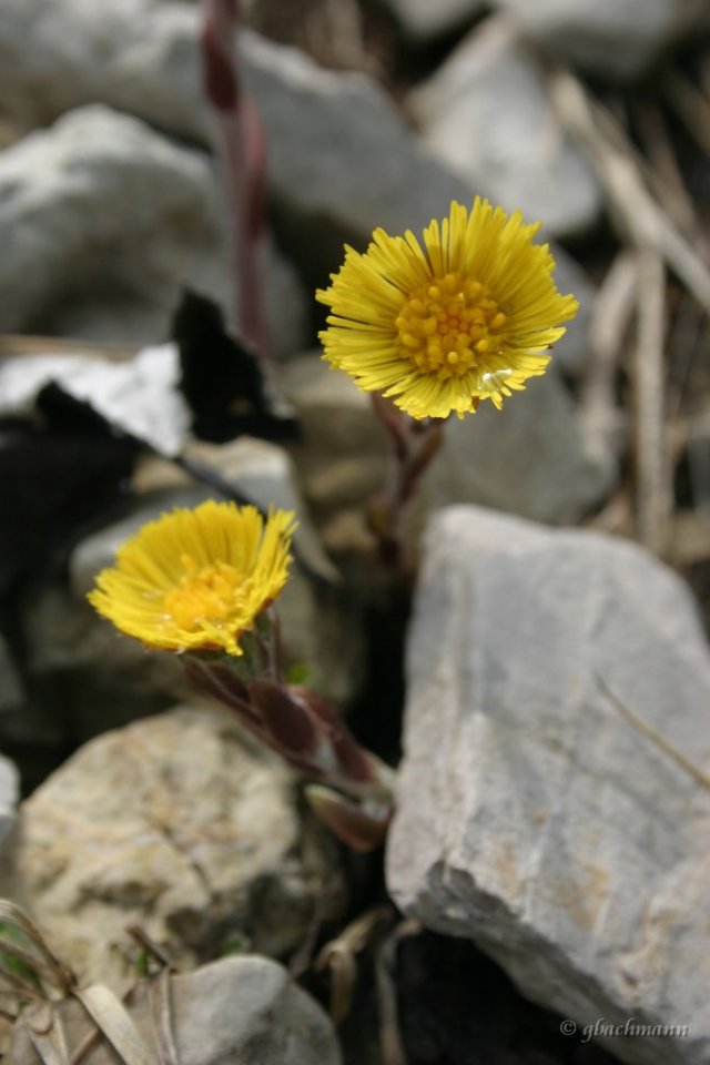 20050521_086